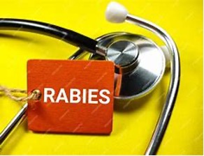 Rabies